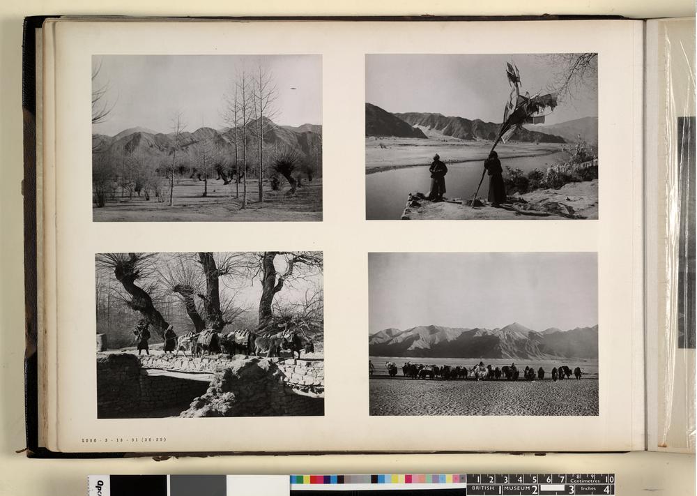 图片[1]-photographic print(black and white); album BM-1986-0313-0.1.56-China Archive